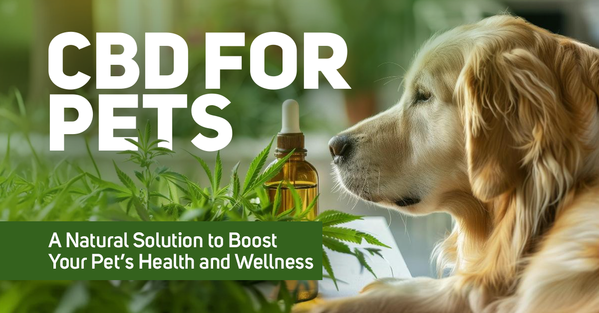 CBD for Pets: A Natural Solution to Boost Your Pet’s Health and Wellness