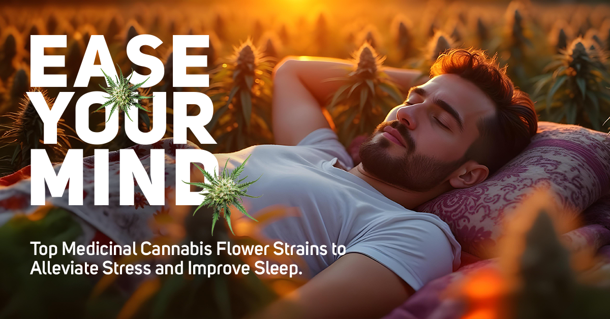 Ease Your Mind: Top Medicinal Cannabis Flower Strains to Alleviate Stress and Improve Sleep